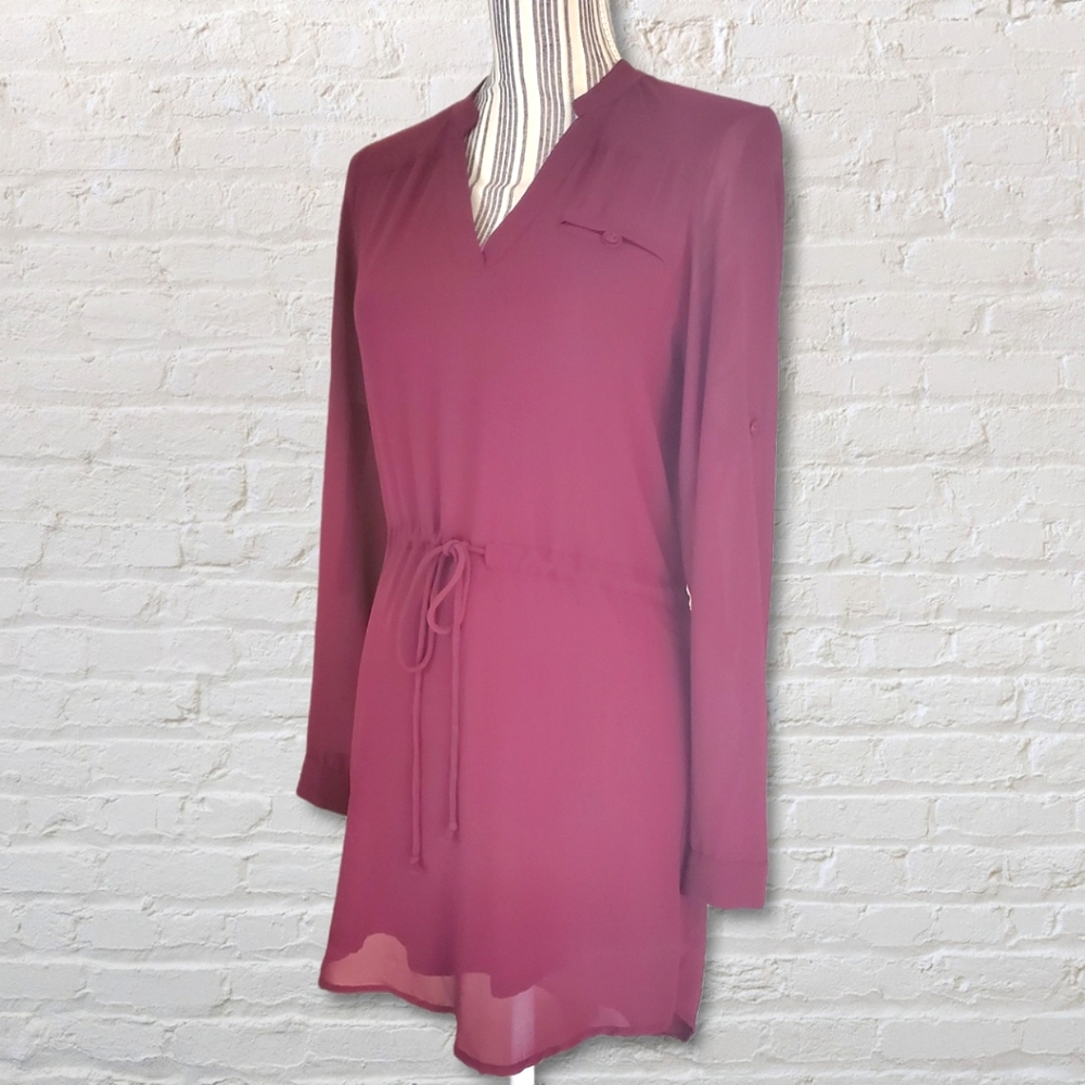 Naked Zebra Mini Dress Sheer Plum High-Low Tunic Sz S